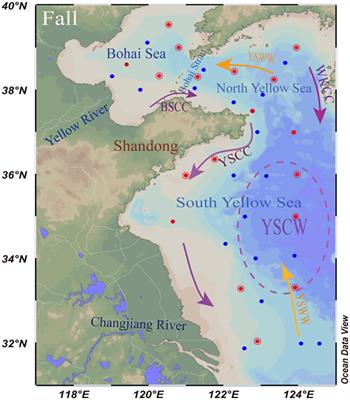 Nonconservative behavior of dissolved molybdenum and its potential role in nitrogen cycling in the Bohai and Yellow Seas